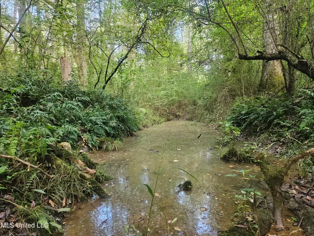 $296,000 | Simpson Hwy Mount, Mount Olive, MS 39119