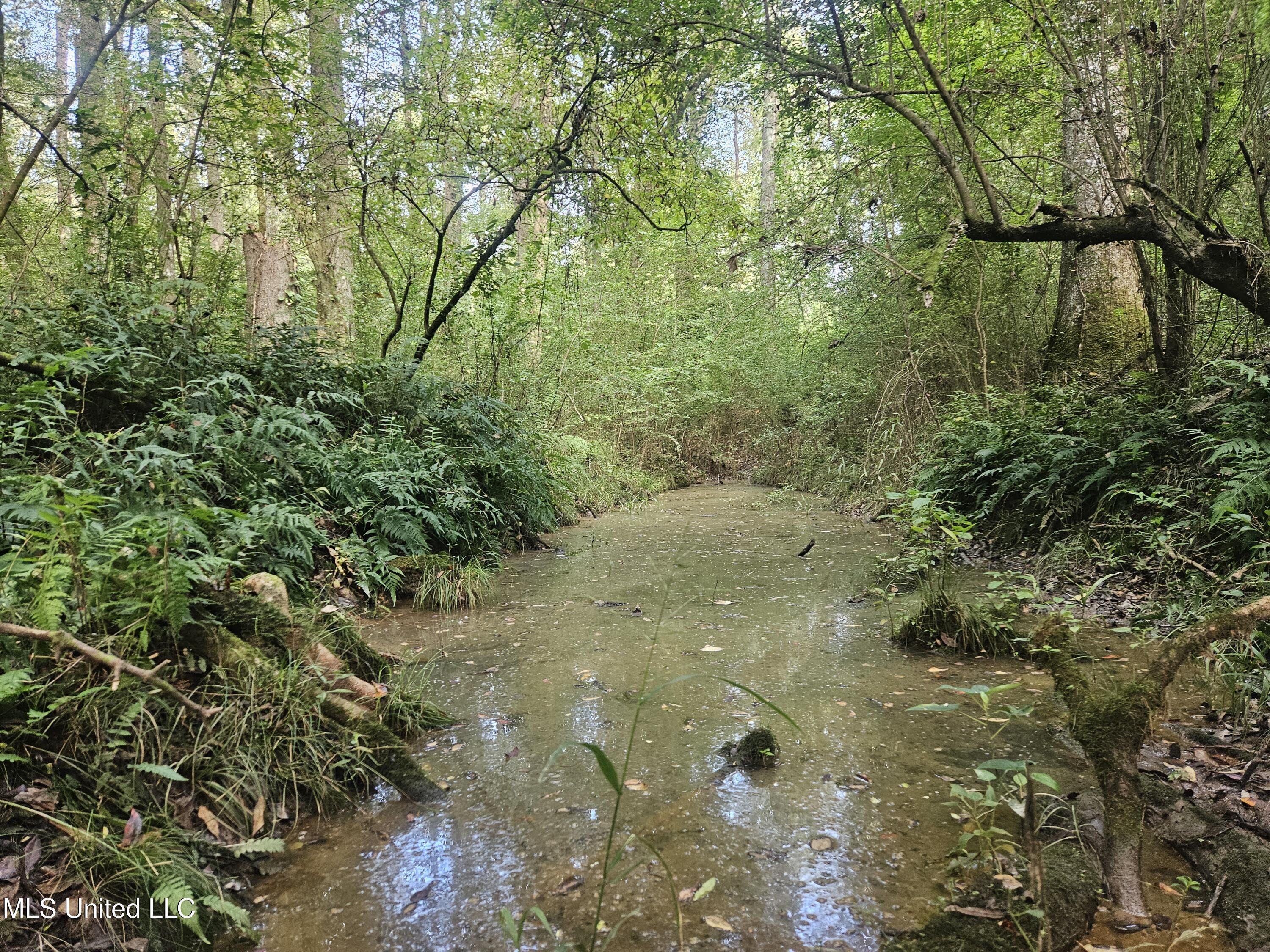 Simpson Hwy Mount Mount Olive, MS 39119 - Photo 46 of 82 20250903_093850