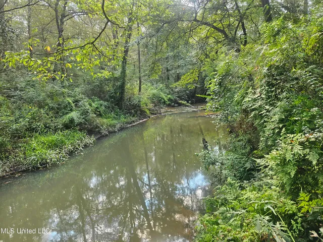 $296,000 | Simpson Hwy Mount, Mount Olive, MS 39119