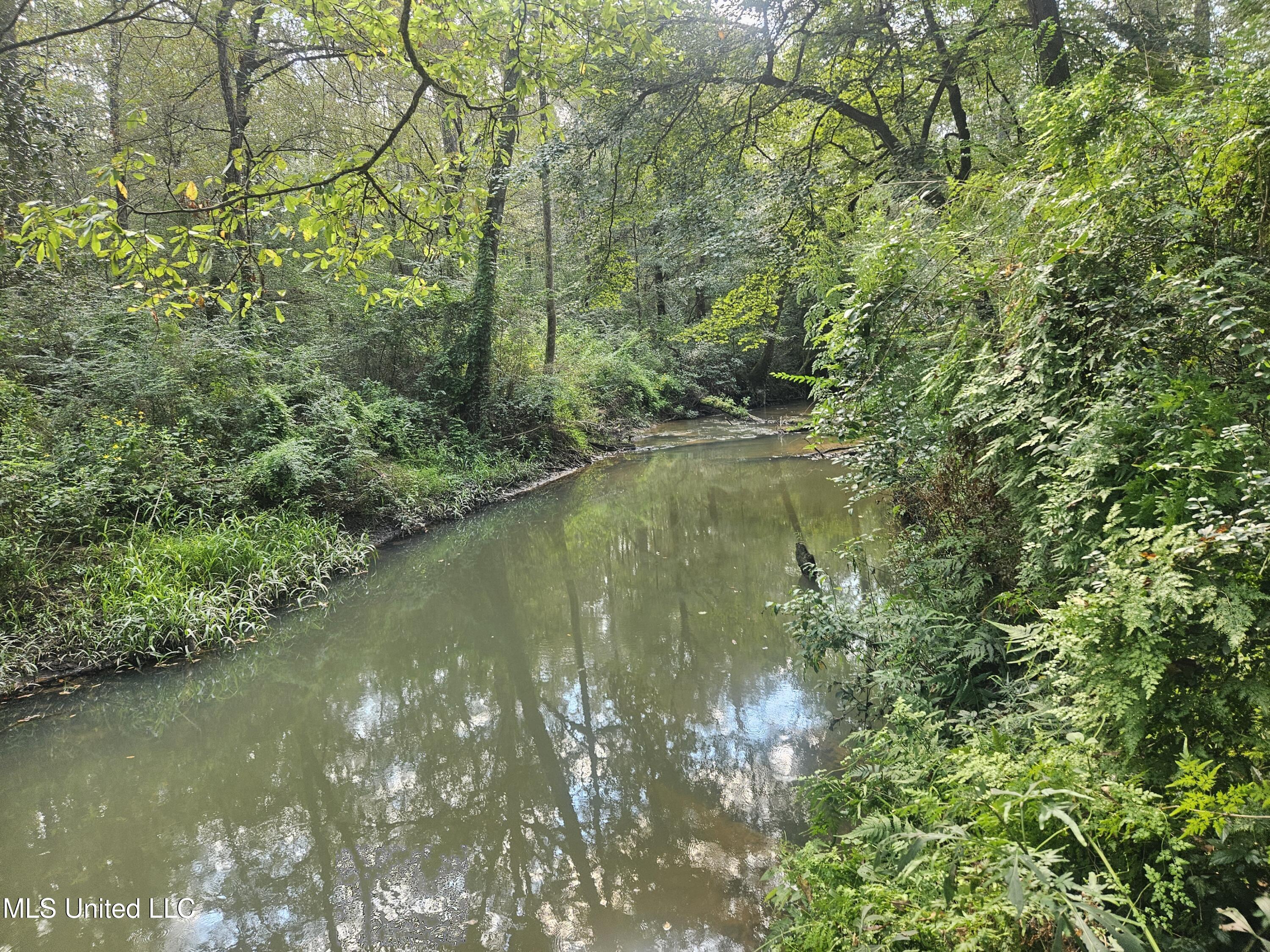 Simpson Hwy Mount Mount Olive, MS 39119 - Photo 47 of 82 20250903_094034