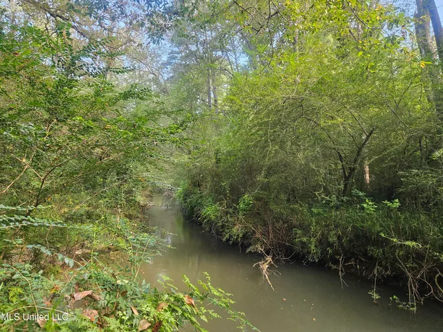 $296,000 | Simpson Hwy Mount, Mount Olive, MS 39119