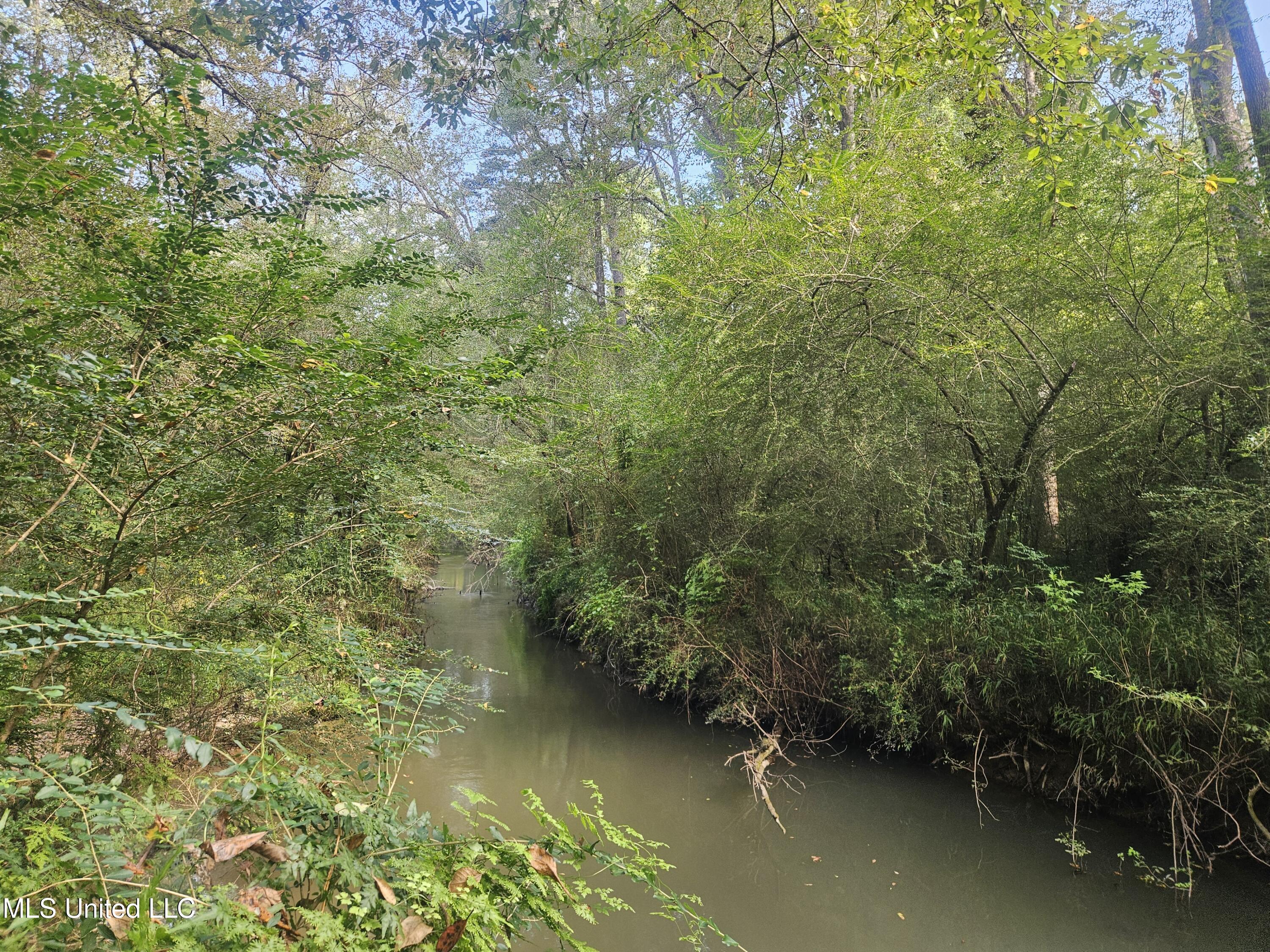 Simpson Hwy Mount Mount Olive, MS 39119 - Photo 48 of 82 20250903_094038
