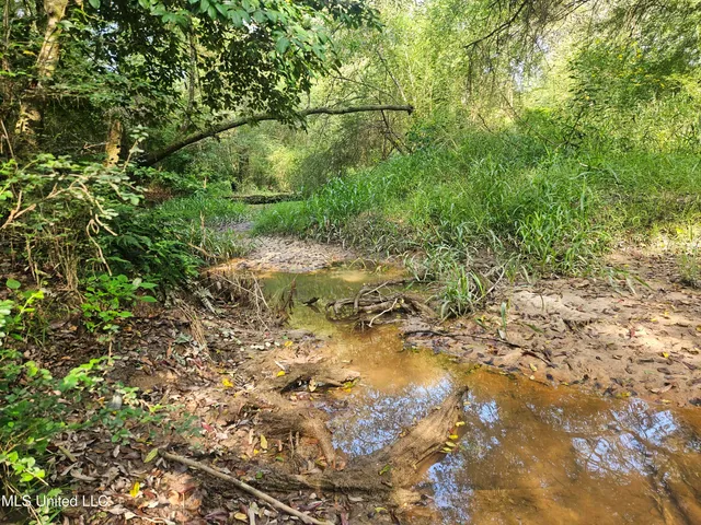 $296,000 | Simpson Hwy Mount, Mount Olive, MS 39119