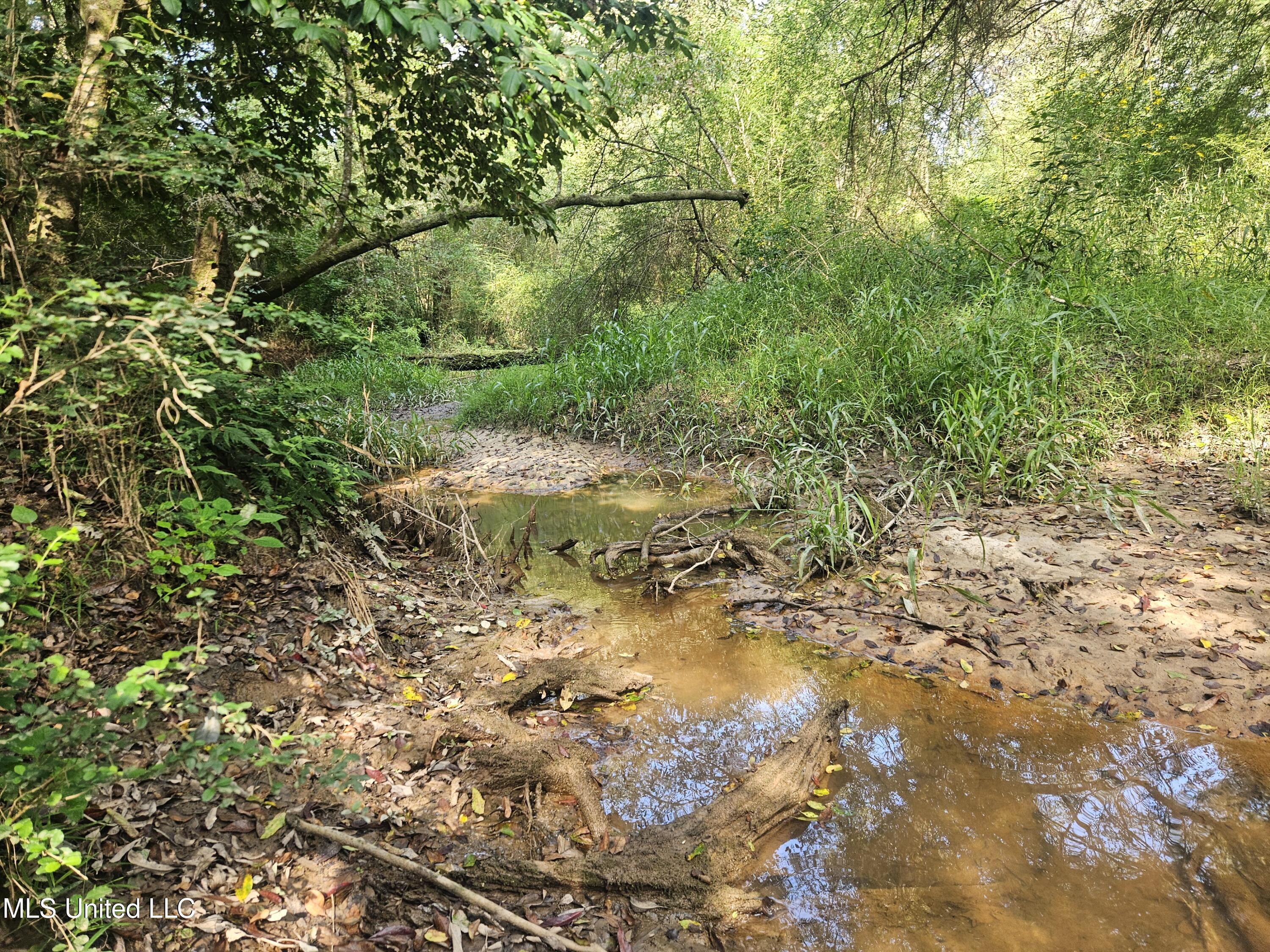 Simpson Hwy Mount Mount Olive, MS 39119 - Photo 49 of 82 20250903_094118