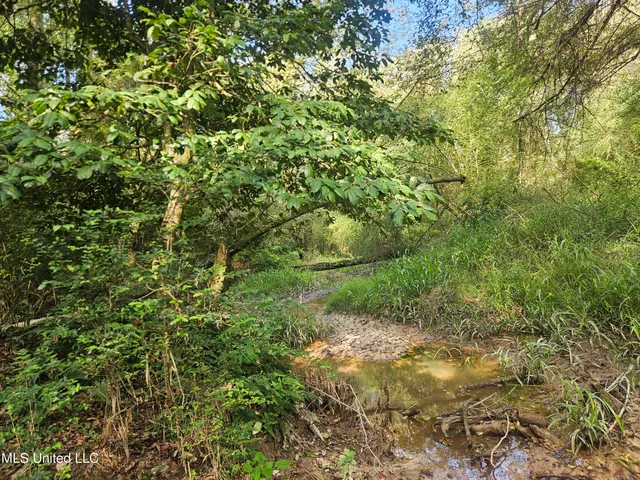 $296,000 | Simpson Hwy Mount, Mount Olive, MS 39119