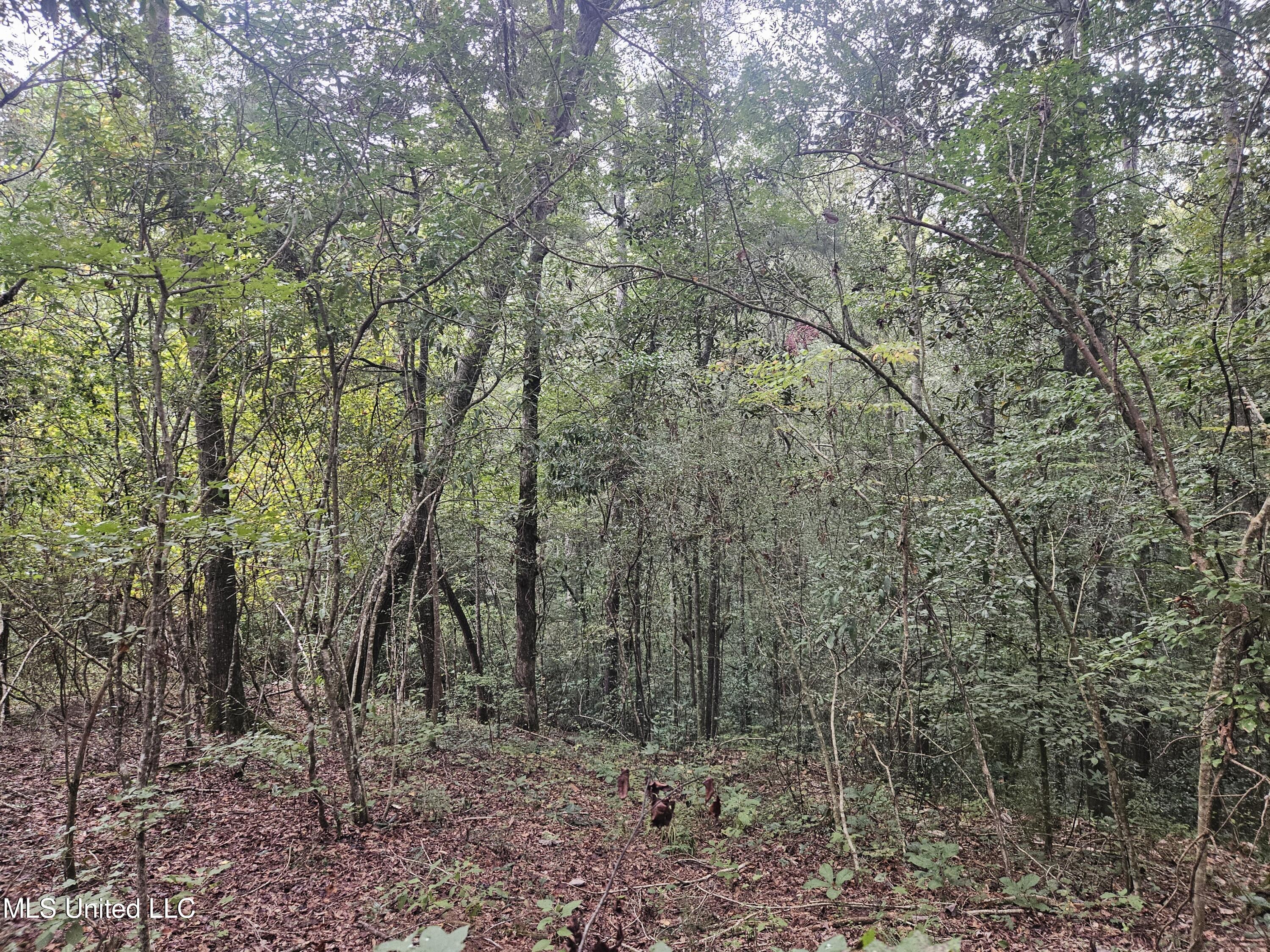 Simpson Hwy Mount Mount Olive, MS 39119 - Photo 5 of 82 20250902_092124