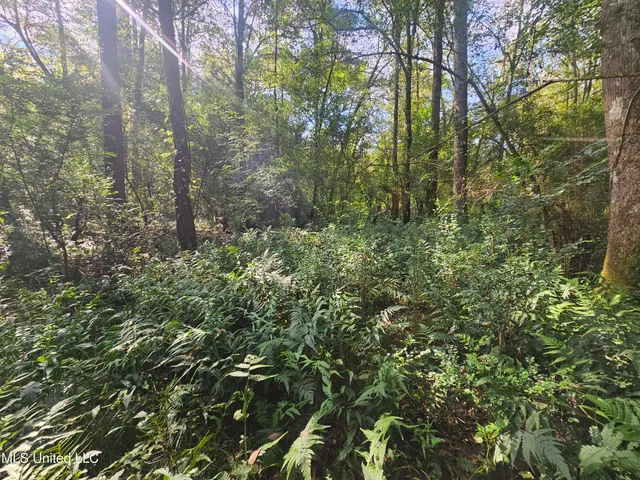 $296,000 | Simpson Hwy Mount, Mount Olive, MS 39119