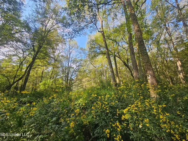 $296,000 | Simpson Hwy Mount, Mount Olive, MS 39119