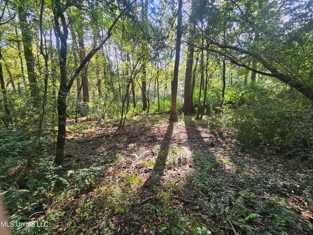 $296,000 | Simpson Hwy Mount, Mount Olive, MS 39119