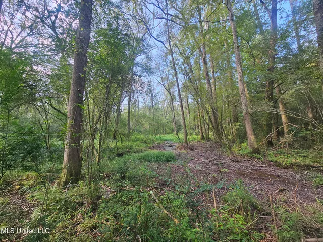 $296,000 | Simpson Hwy Mount, Mount Olive, MS 39119