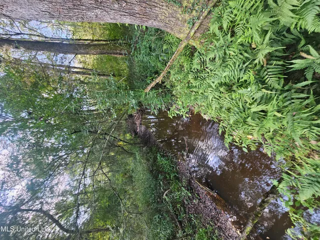 $296,000 | Simpson Hwy Mount, Mount Olive, MS 39119