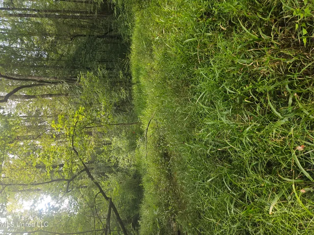 $296,000 | Simpson Hwy Mount, Mount Olive, MS 39119