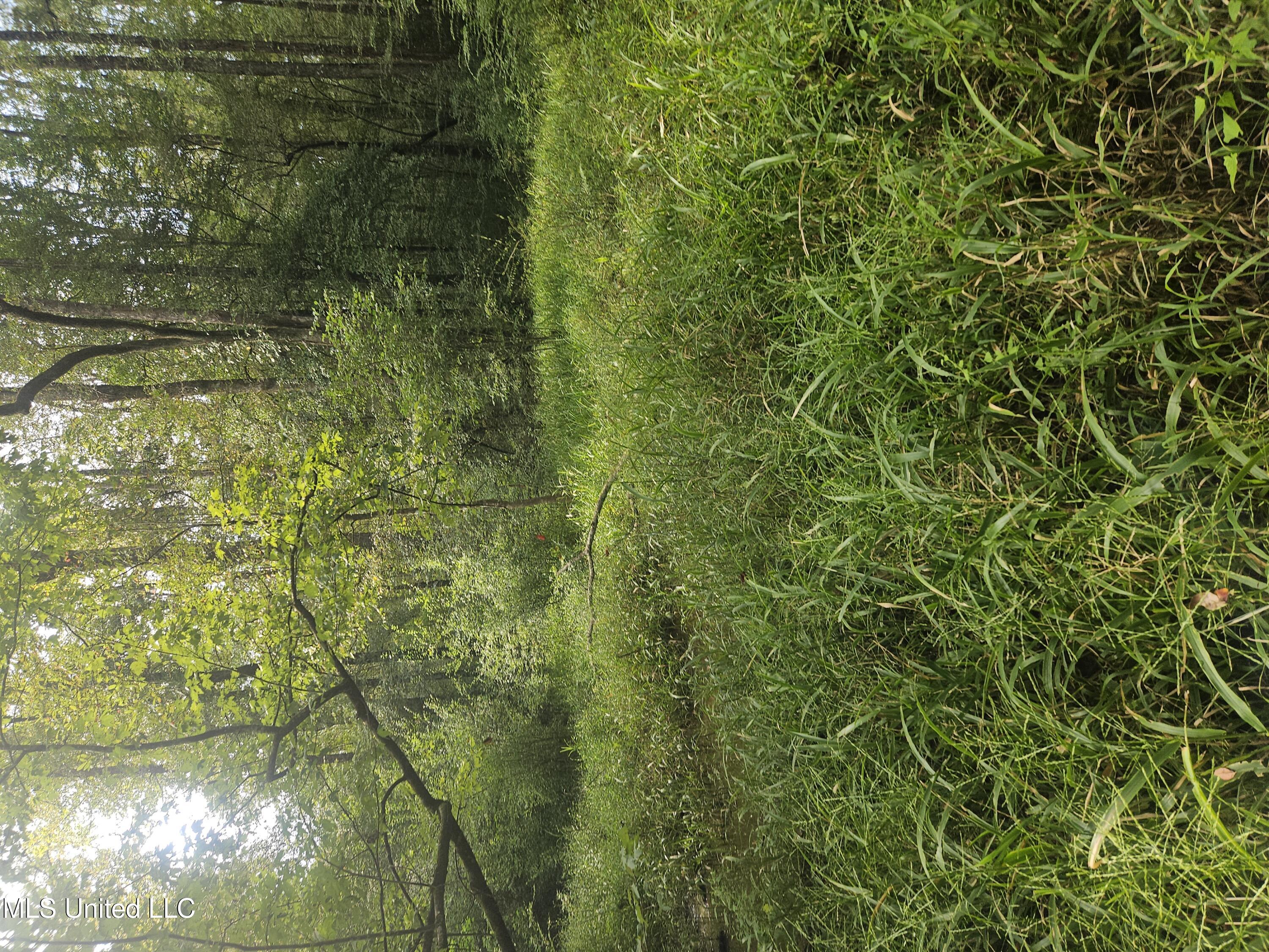 Simpson Hwy Mount Mount Olive, MS 39119 - Photo 57 of 82 20250903_100044_001