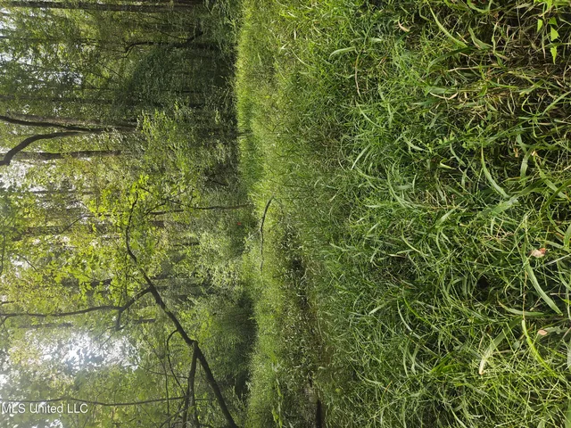 $296,000 | Simpson Hwy Mount, Mount Olive, MS 39119