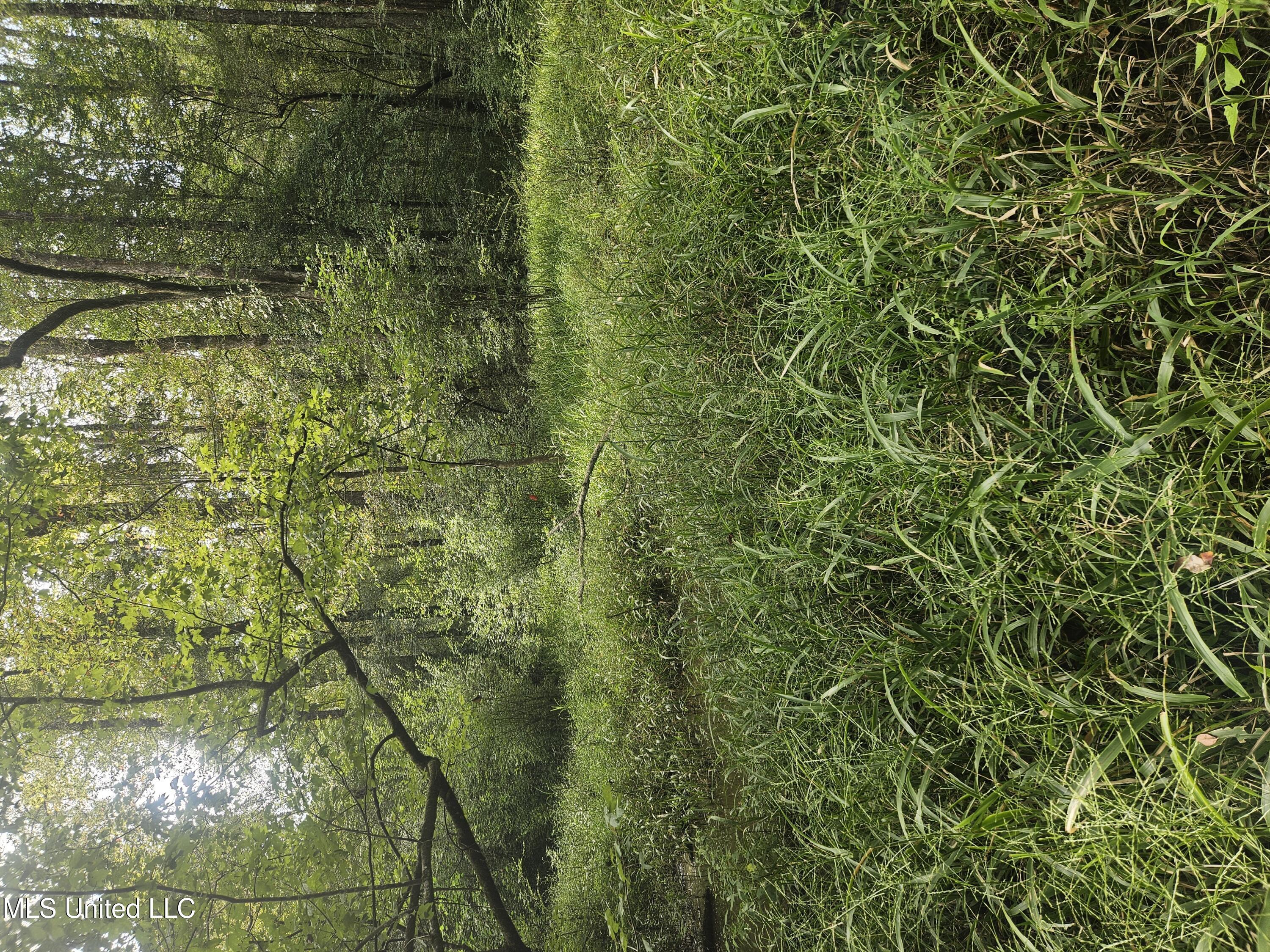 Simpson Hwy Mount Mount Olive, MS 39119 - Photo 58 of 82 20250903_100049