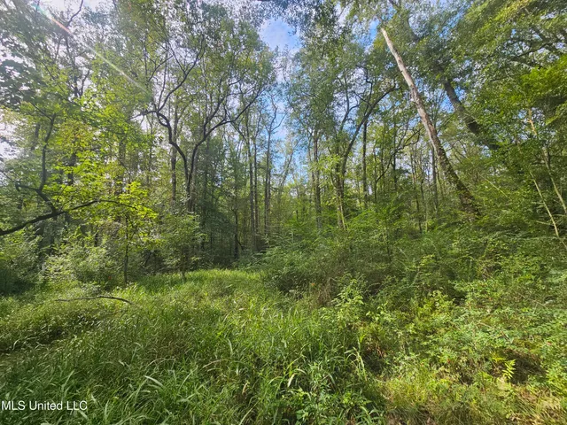 $296,000 | Simpson Hwy Mount, Mount Olive, MS 39119