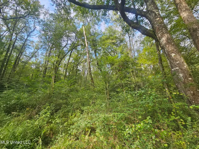 $296,000 | Simpson Hwy Mount, Mount Olive, MS 39119