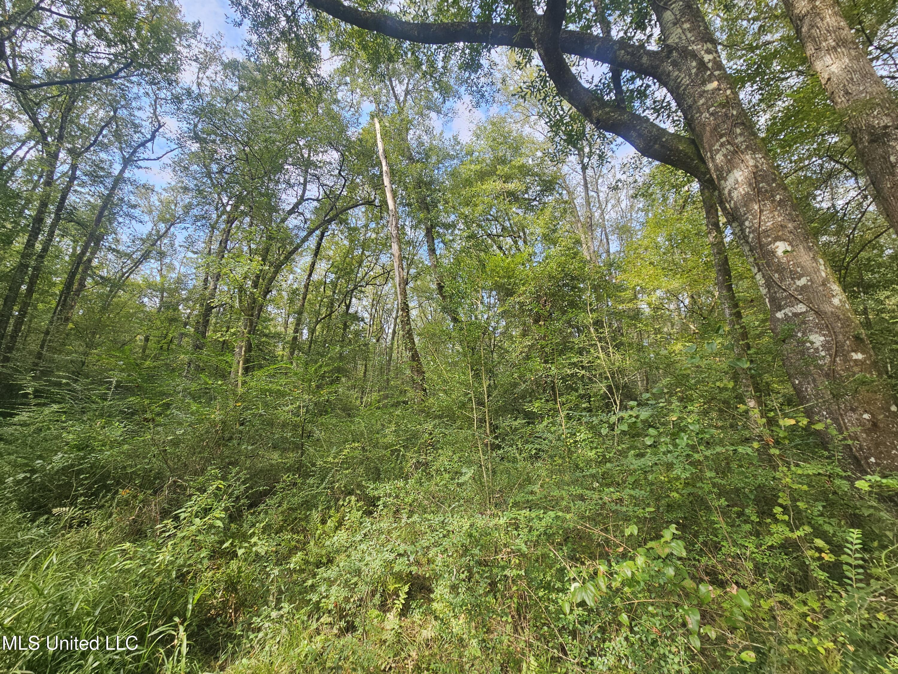 Simpson Hwy Mount Mount Olive, MS 39119 - Photo 60 of 82 20250903_100108