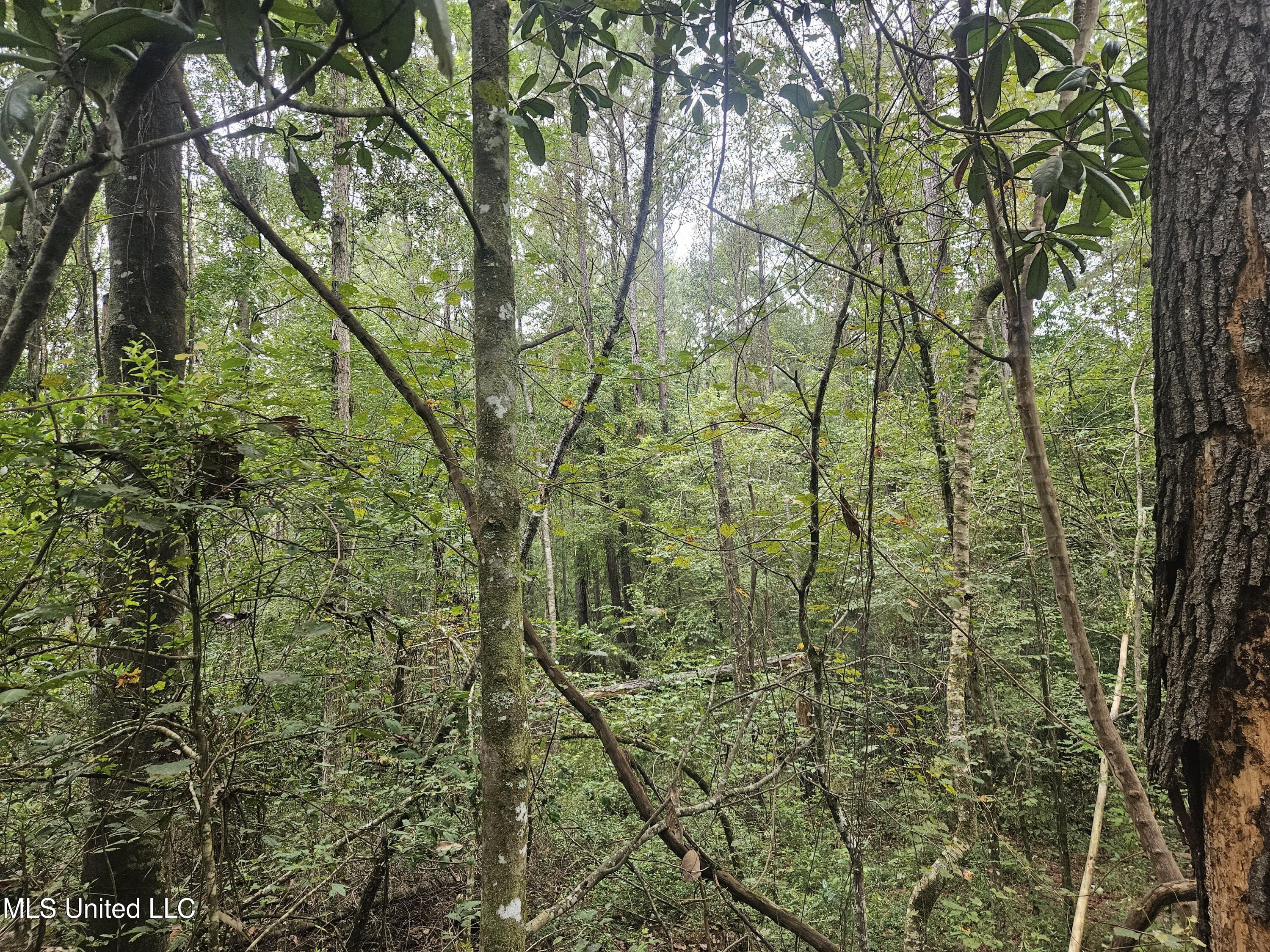 Simpson Hwy Mount Mount Olive, MS 39119 - Photo 6 of 82 20250902_092257