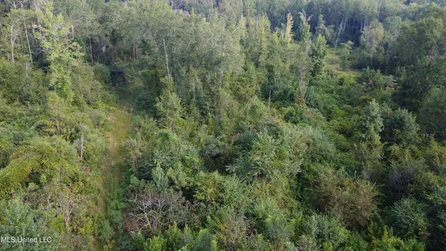 $296,000 | Simpson Hwy Mount, Mount Olive, MS 39119