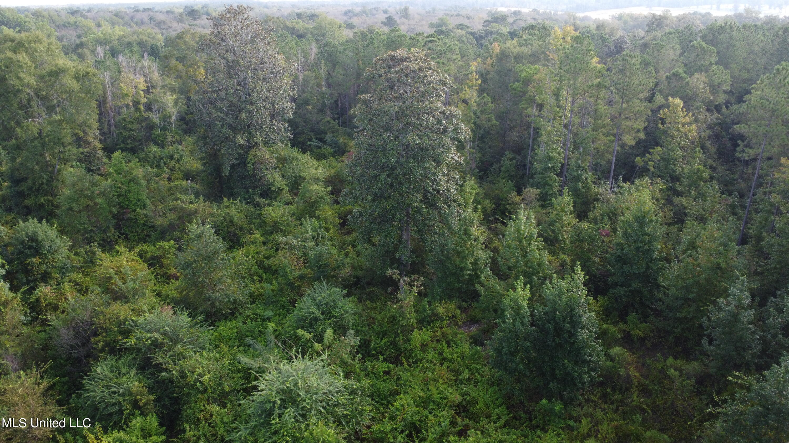Simpson Hwy Mount Mount Olive, MS 39119 - Photo 62 of 82 DJI_0441