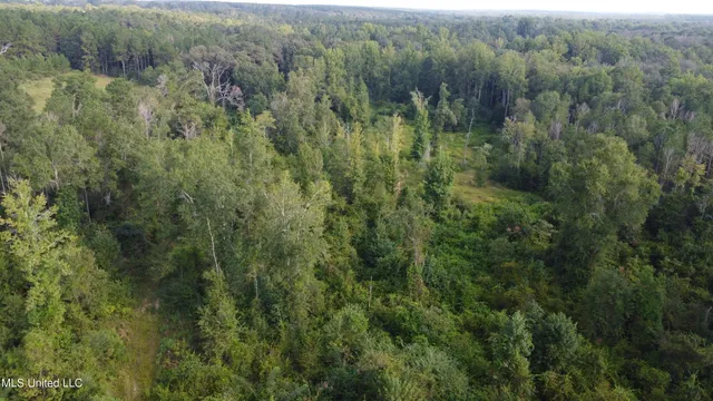 $296,000 | Simpson Hwy Mount, Mount Olive, MS 39119