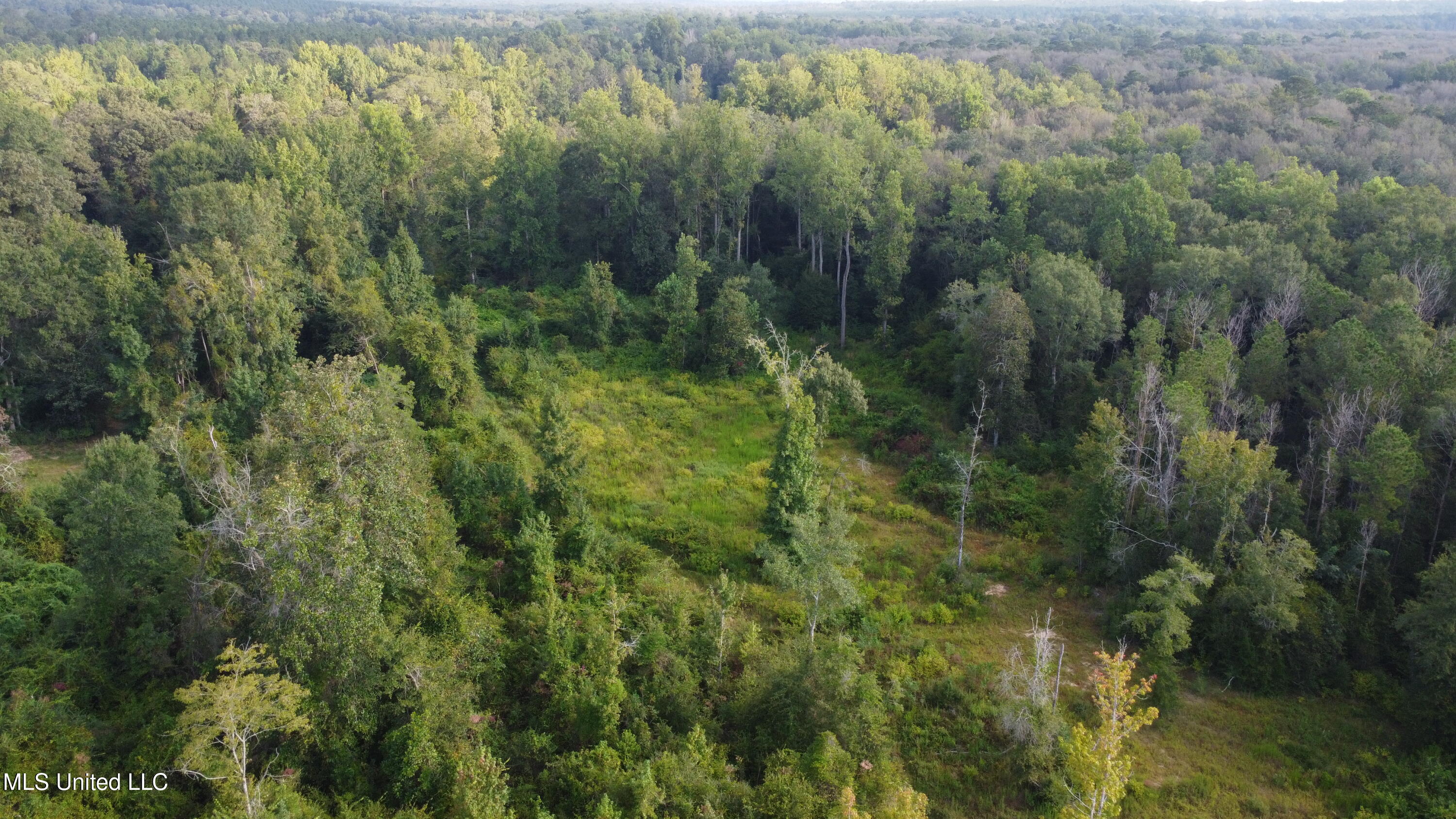 Simpson Hwy Mount Mount Olive, MS 39119 - Photo 64 of 82 DJI_0443