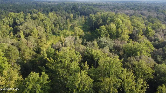 $296,000 | Simpson Hwy Mount, Mount Olive, MS 39119