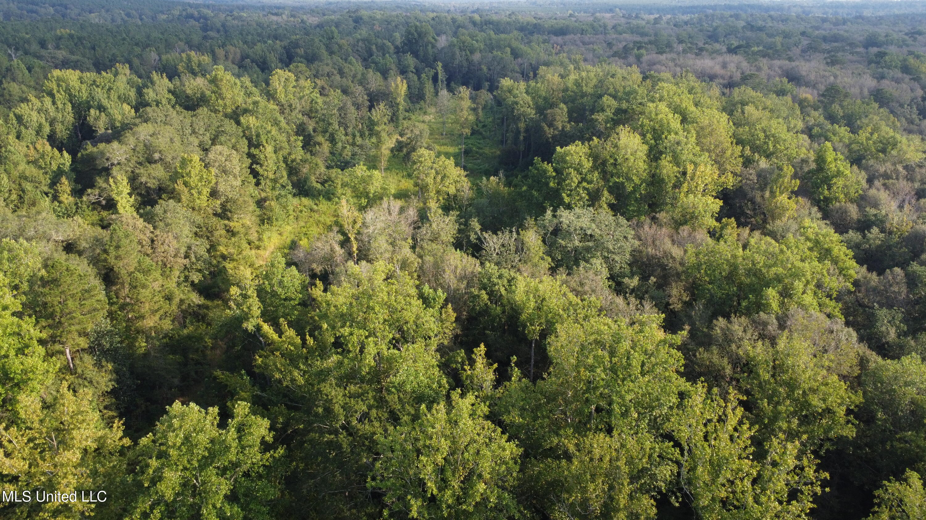 Simpson Hwy Mount Mount Olive, MS 39119 - Photo 65 of 82 DJI_0444