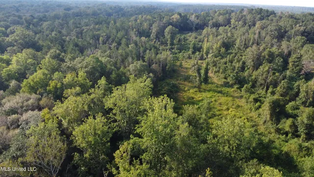 $296,000 | Simpson Hwy Mount, Mount Olive, MS 39119