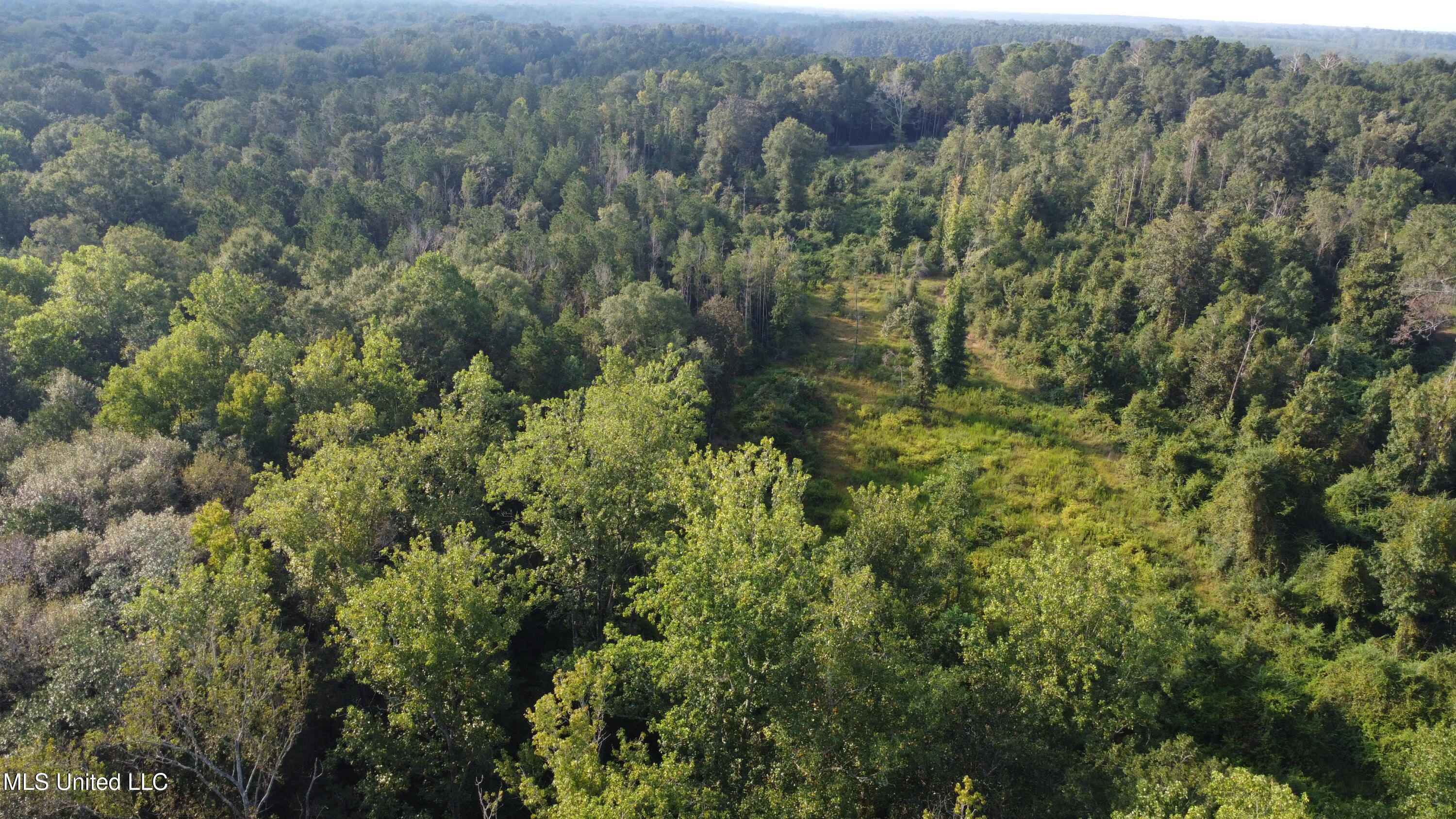 Simpson Hwy Mount Mount Olive, MS 39119 - Photo 67 of 82 DJI_0446