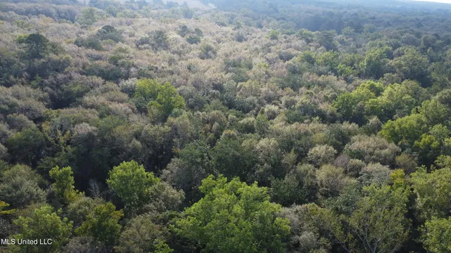 $296,000 | Simpson Hwy Mount, Mount Olive, MS 39119