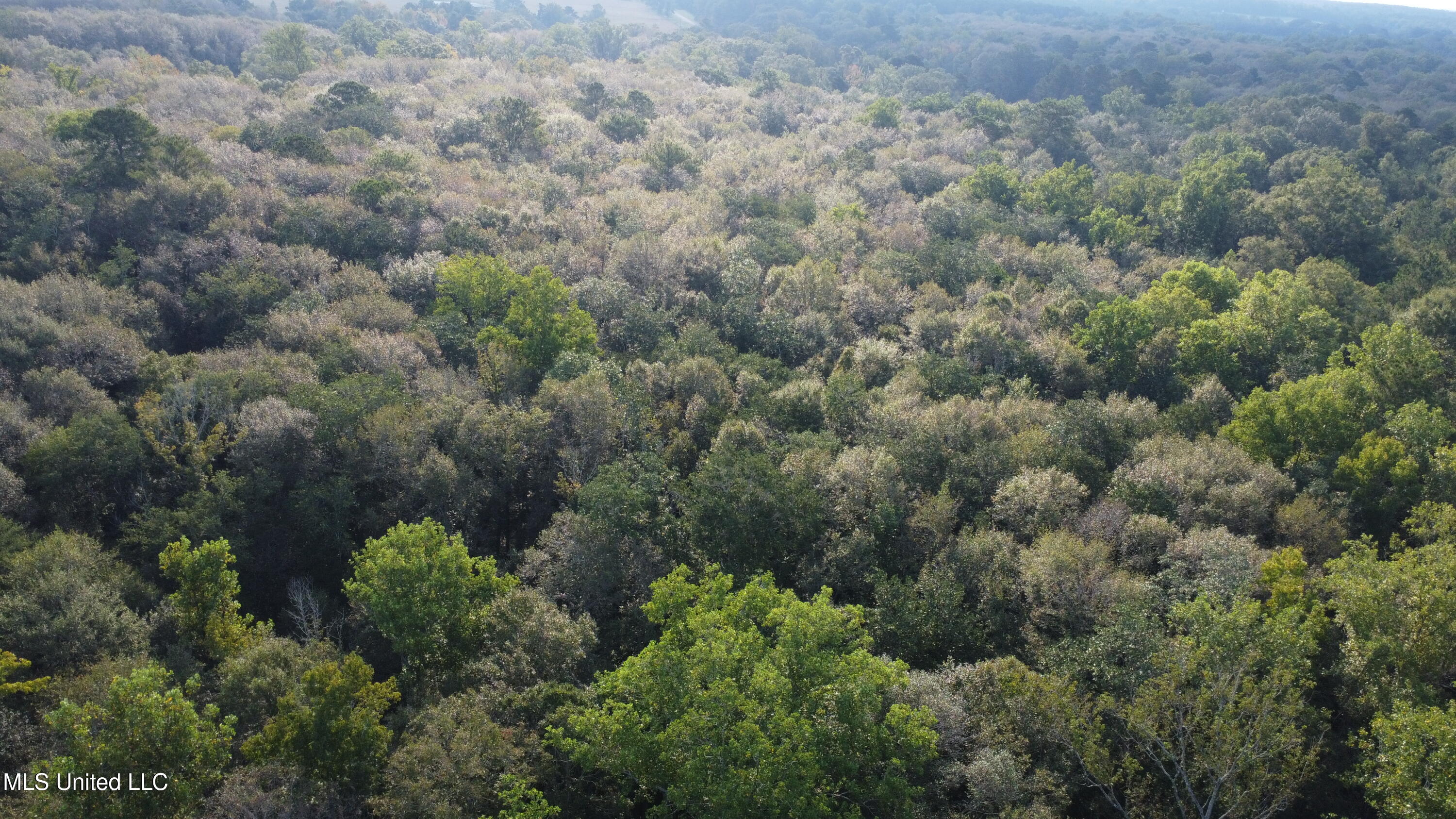 Simpson Hwy Mount Mount Olive, MS 39119 - Photo 68 of 82 DJI_0447