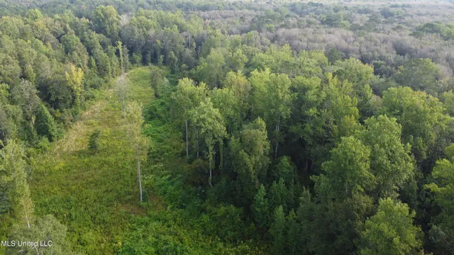 $296,000 | Simpson Hwy Mount, Mount Olive, MS 39119