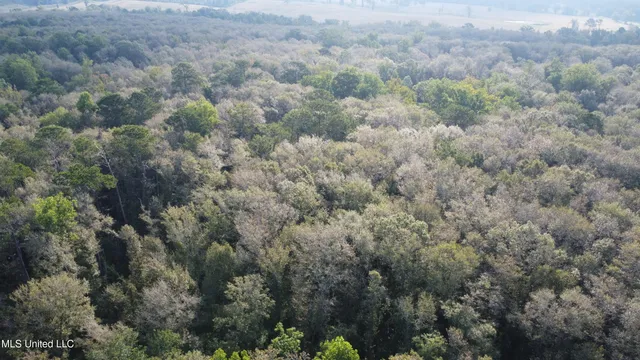 $296,000 | Simpson Hwy Mount, Mount Olive, MS 39119