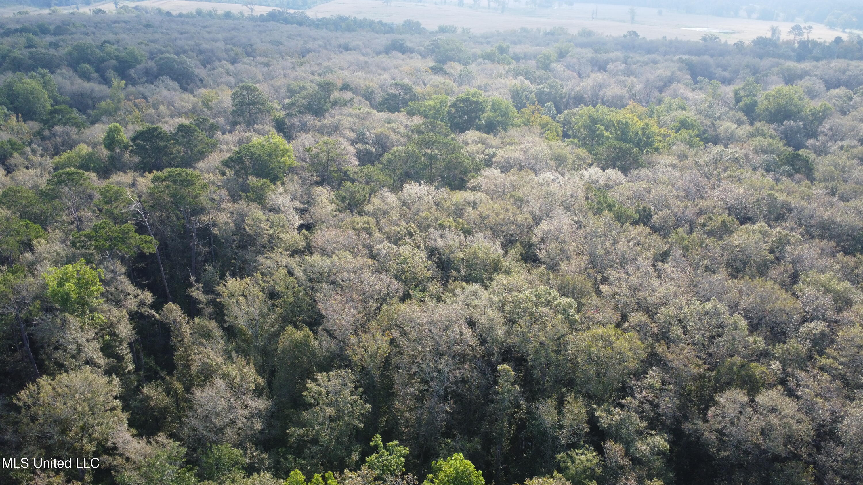 Simpson Hwy Mount Mount Olive, MS 39119 - Photo 70 of 82 DJI_0449