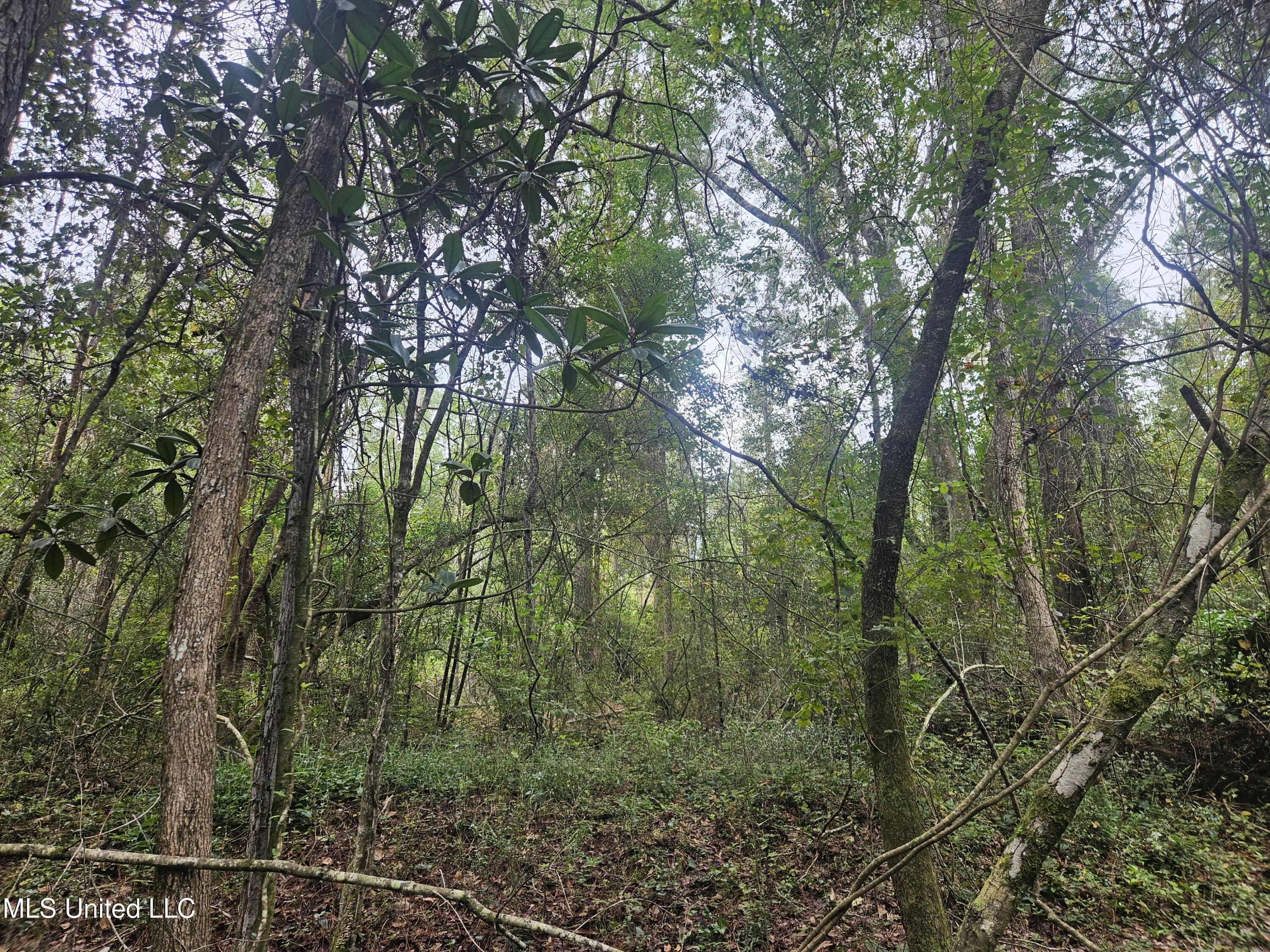 Simpson Hwy Mount Mount Olive, MS 39119 - Photo 7 of 82 20250902_092317