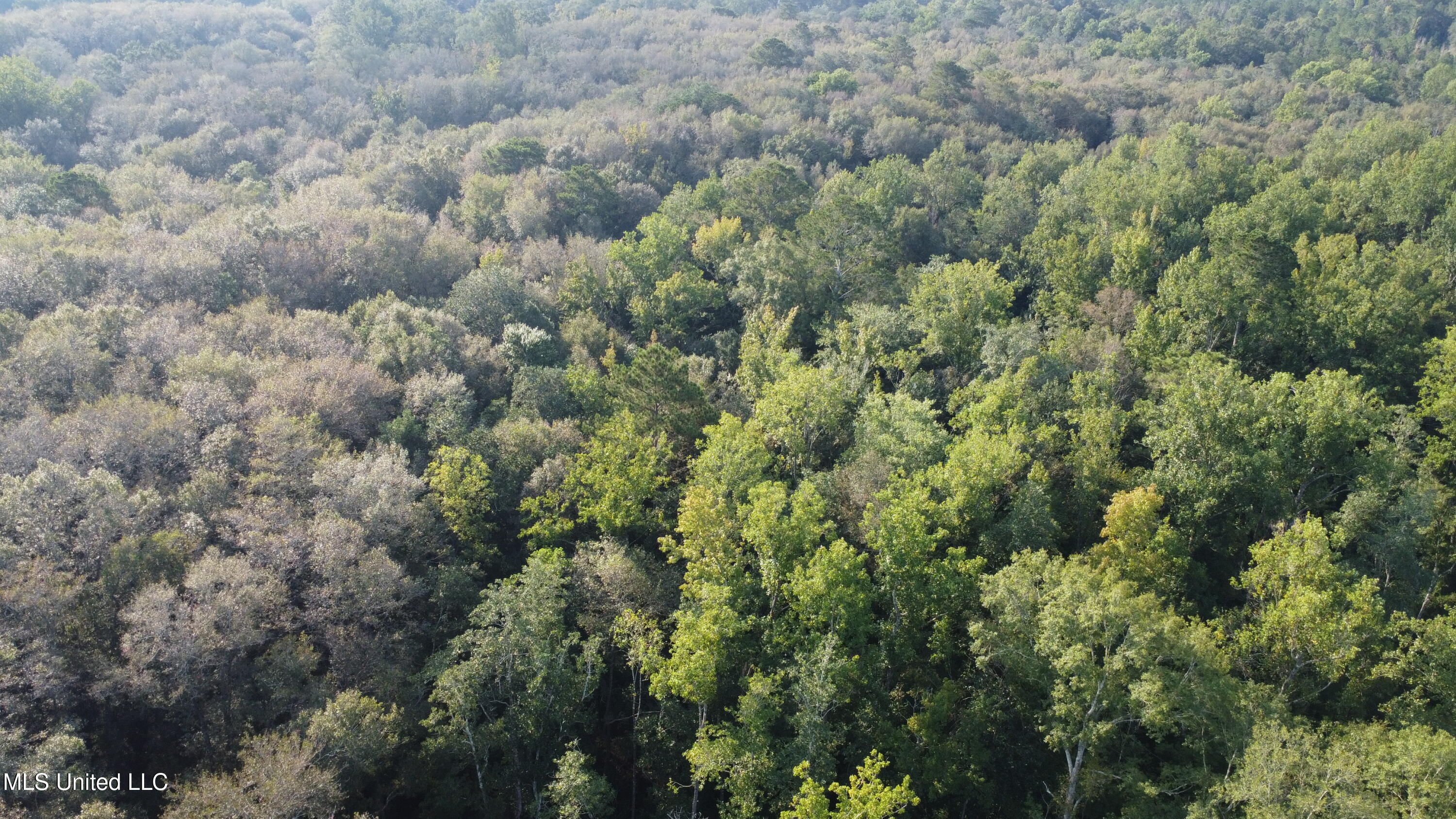 Simpson Hwy Mount Mount Olive, MS 39119 - Photo 71 of 82 DJI_0450