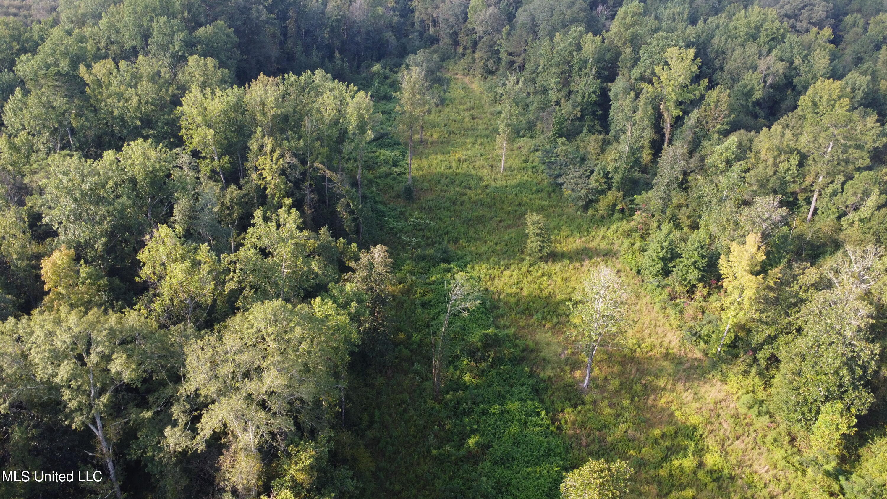 Simpson Hwy Mount Mount Olive, MS 39119 - Photo 72 of 82 DJI_0451