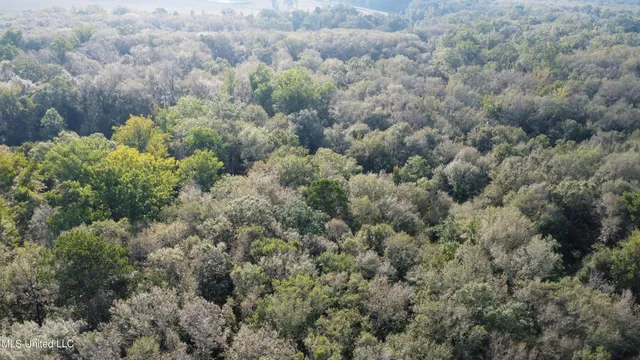 $296,000 | Simpson Hwy Mount, Mount Olive, MS 39119