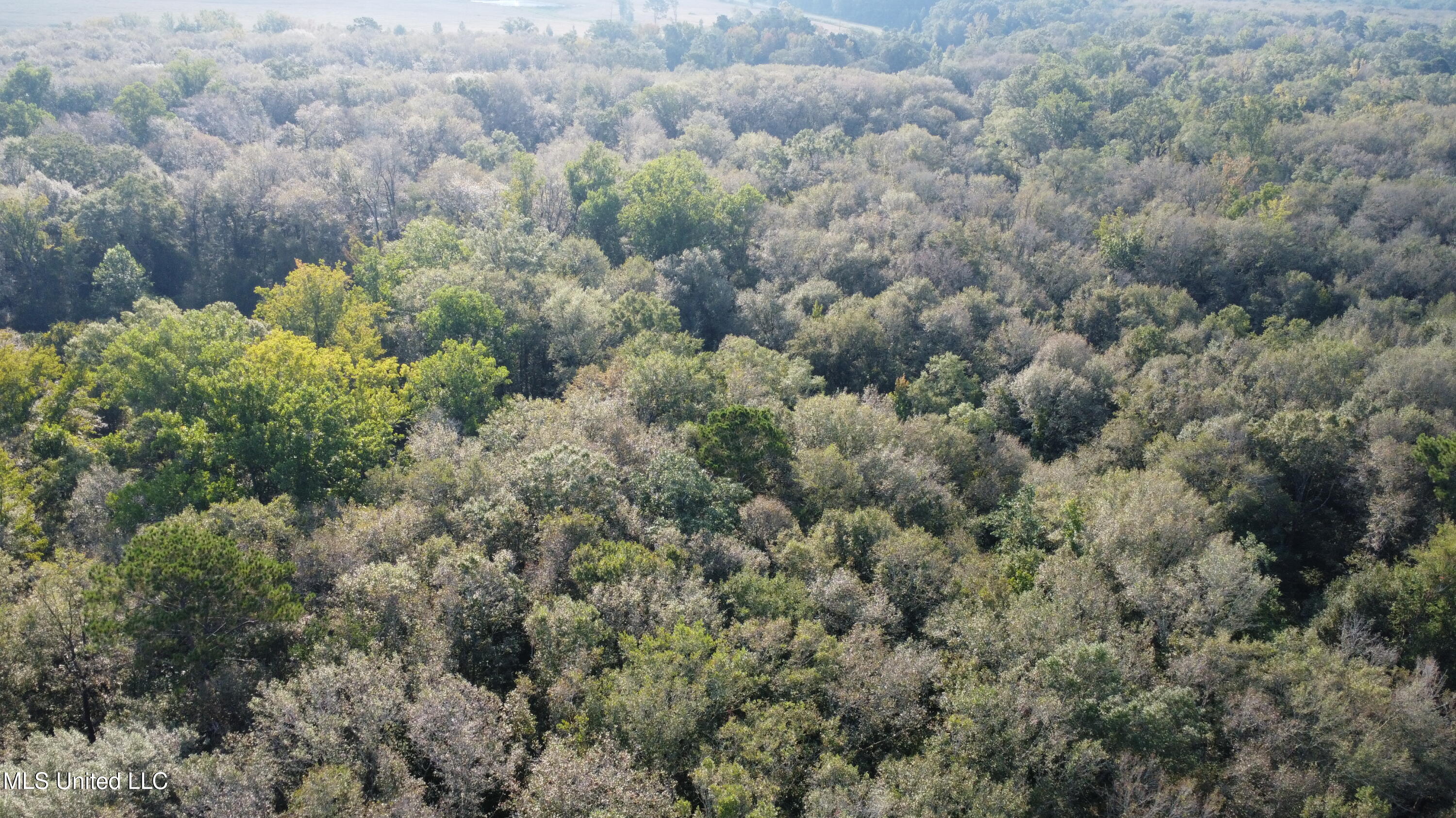 Simpson Hwy Mount Mount Olive, MS 39119 - Photo 73 of 82 DJI_0452