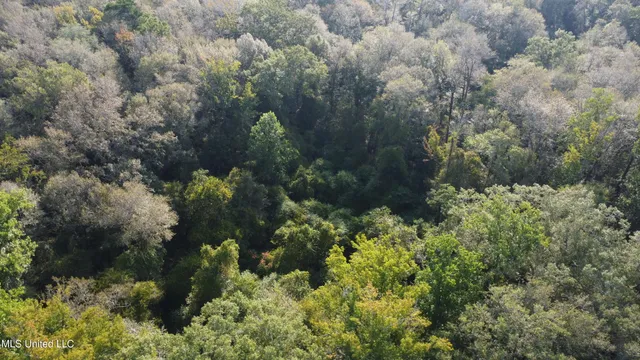 $296,000 | Simpson Hwy Mount, Mount Olive, MS 39119