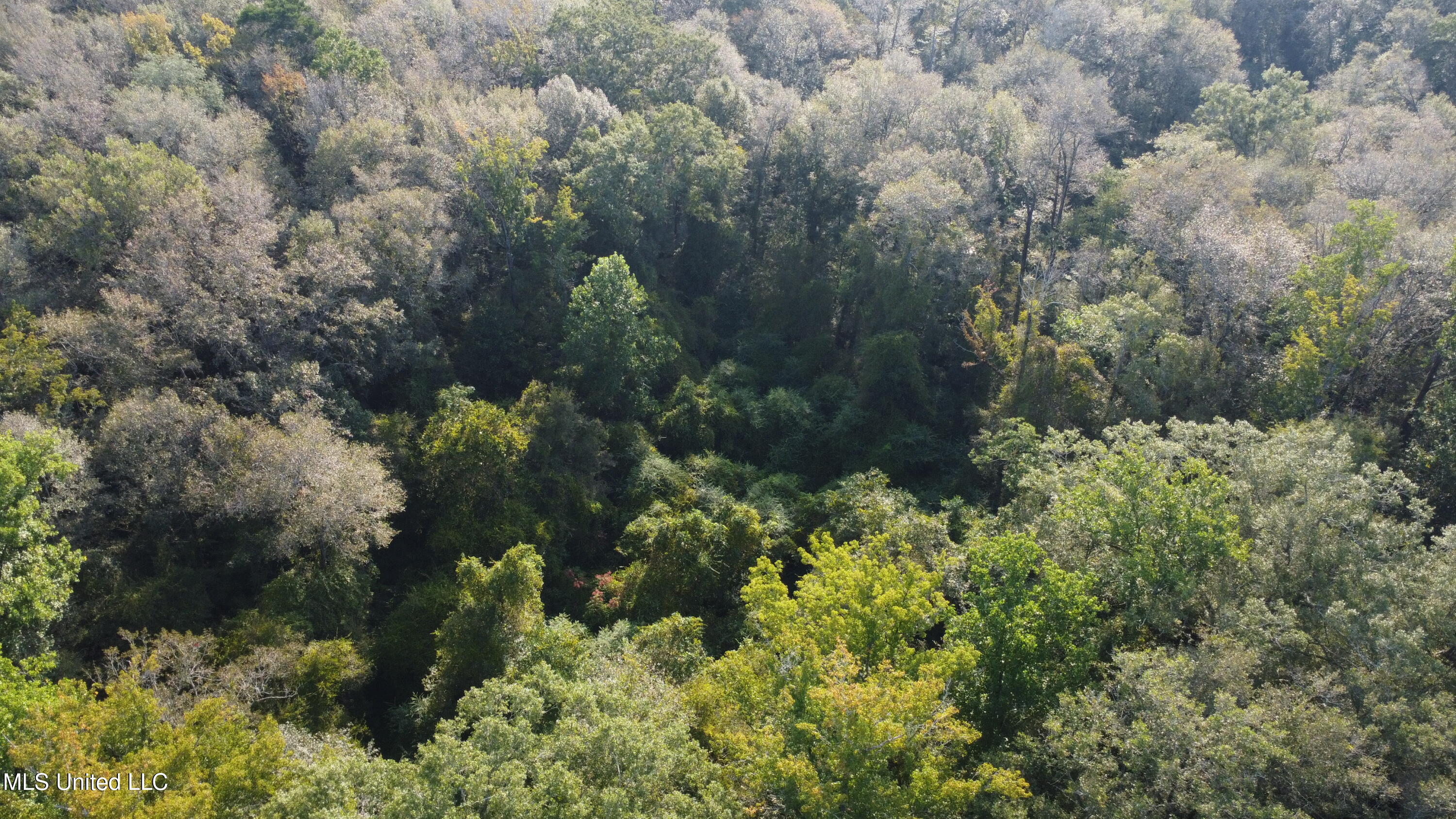 Simpson Hwy Mount Mount Olive, MS 39119 - Photo 74 of 82 DJI_0453
