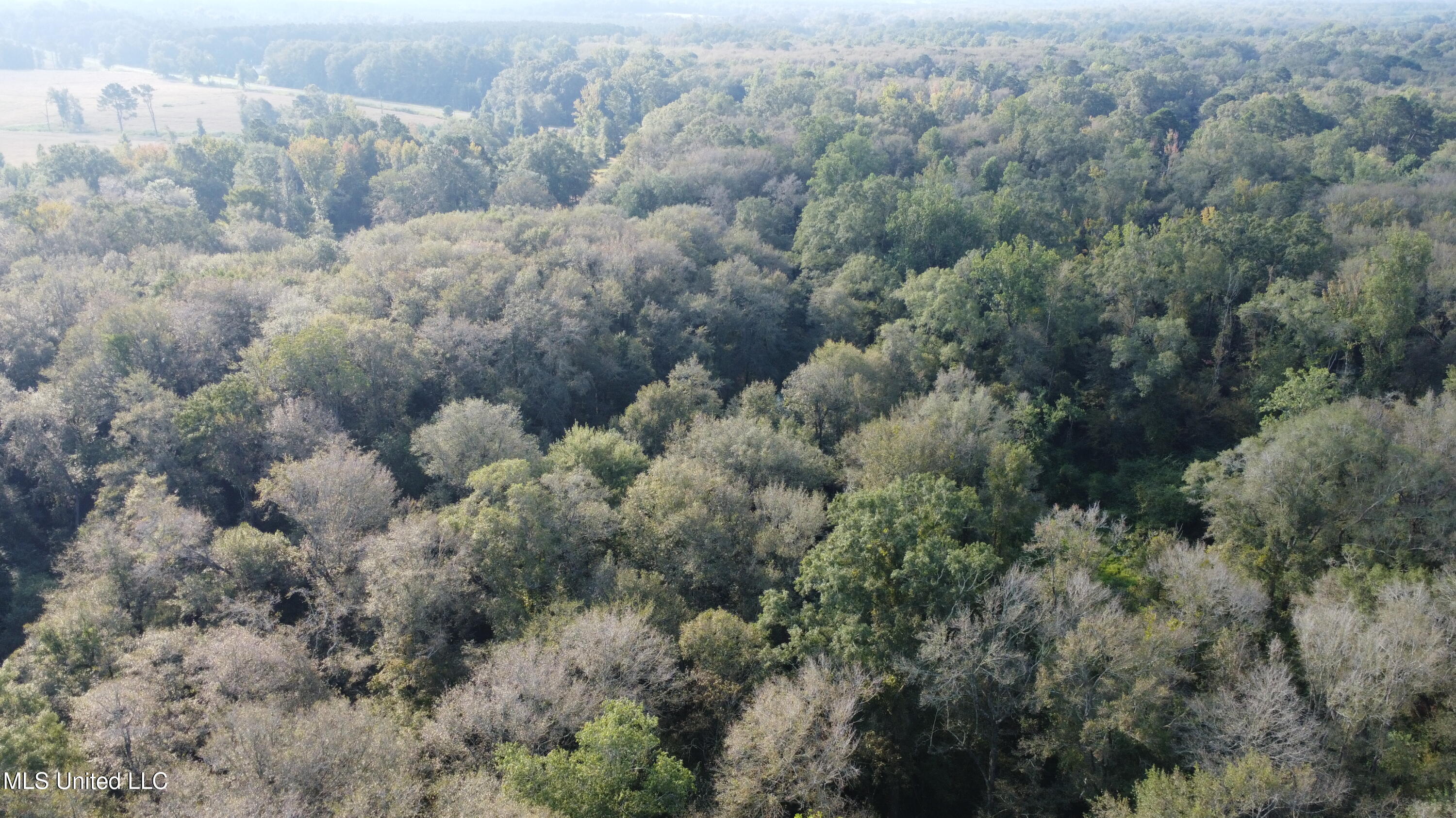 Simpson Hwy Mount Mount Olive, MS 39119 - Photo 75 of 82 DJI_0454