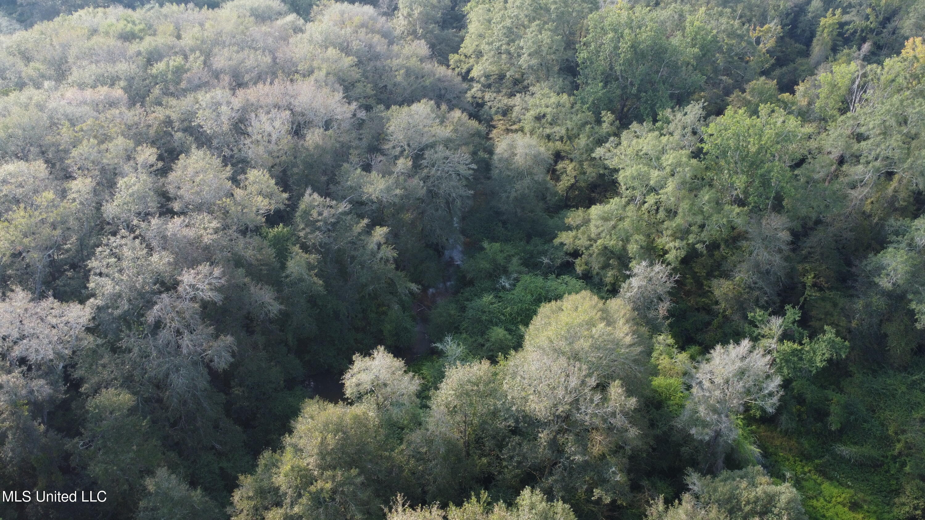 Simpson Hwy Mount Mount Olive, MS 39119 - Photo 76 of 82 DJI_0455