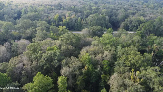 $296,000 | Simpson Hwy Mount, Mount Olive, MS 39119