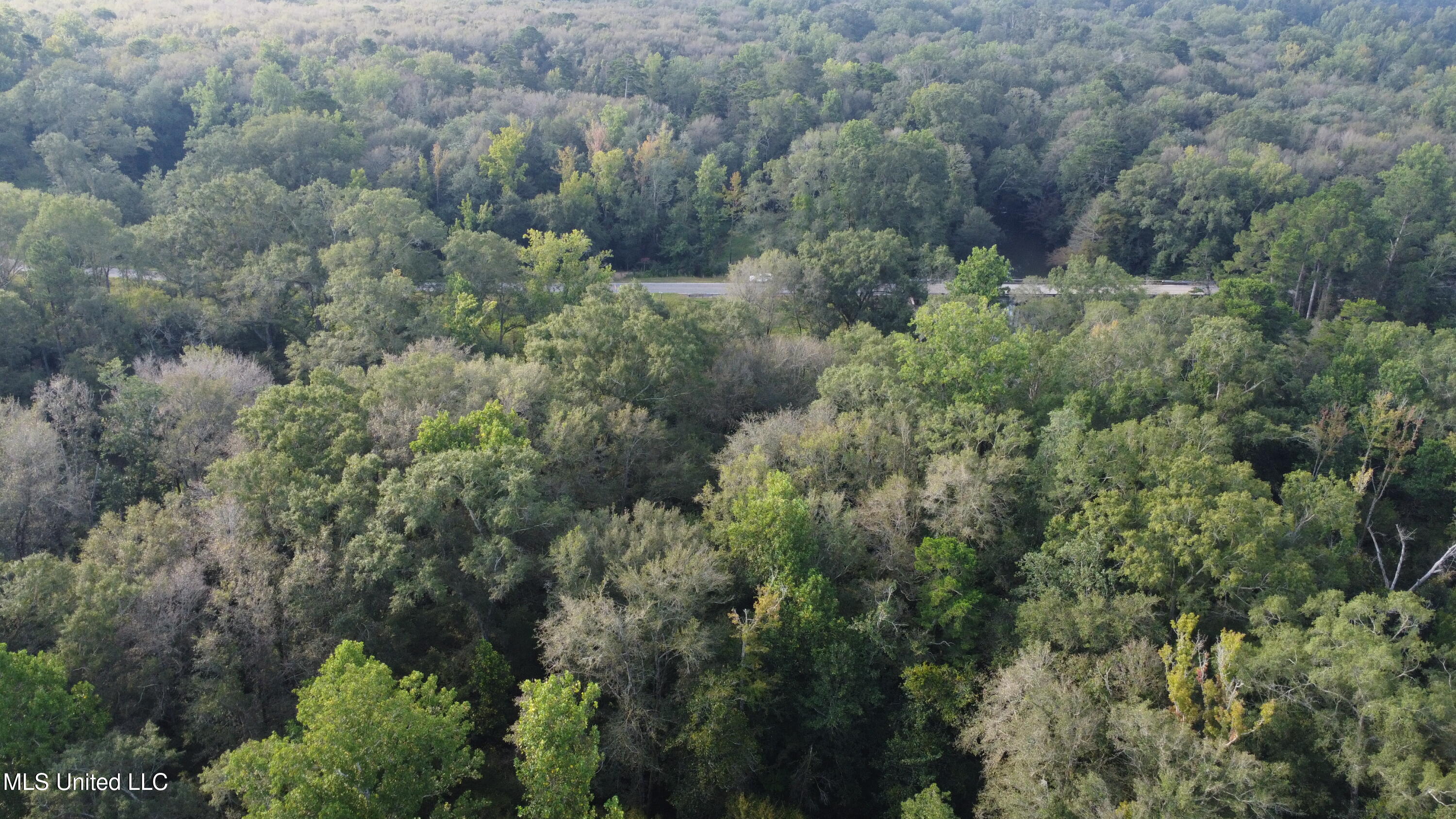 Simpson Hwy Mount Mount Olive, MS 39119 - Photo 77 of 82 DJI_0456