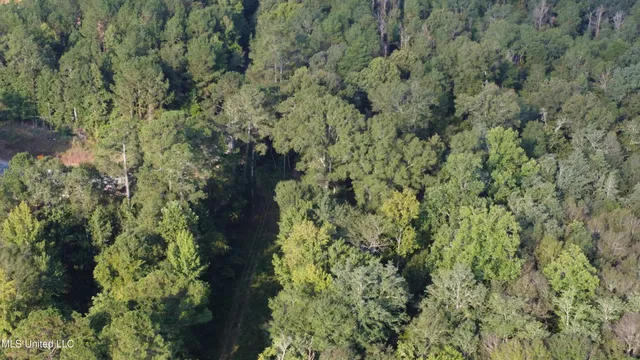 $296,000 | Simpson Hwy Mount, Mount Olive, MS 39119