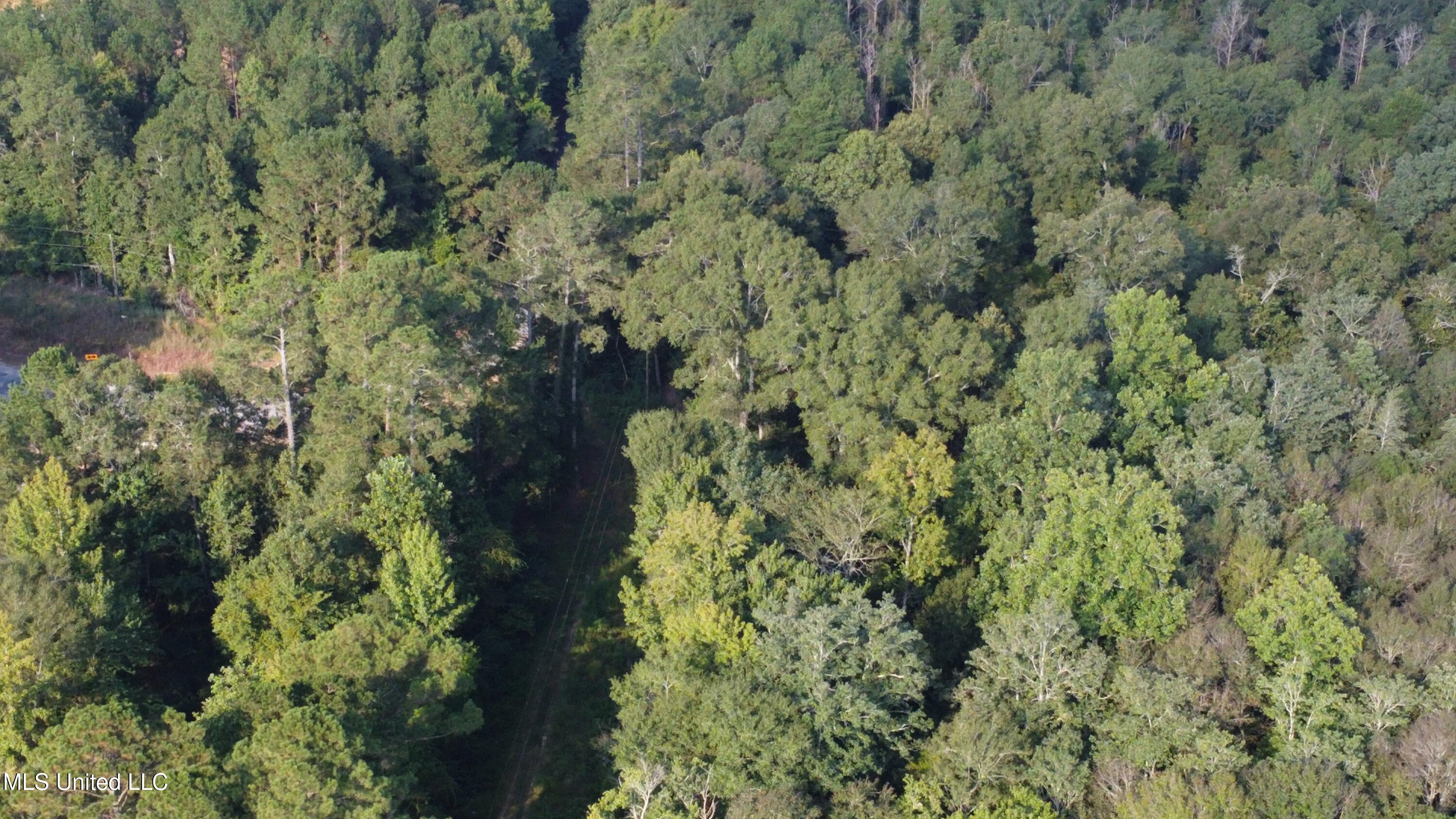 Simpson Hwy Mount Mount Olive, MS 39119 - Photo 78 of 82 DJI_0457