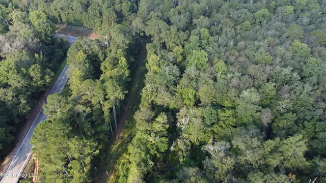 $296,000 | Simpson Hwy Mount, Mount Olive, MS 39119